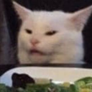 Meet your Posher, Riley